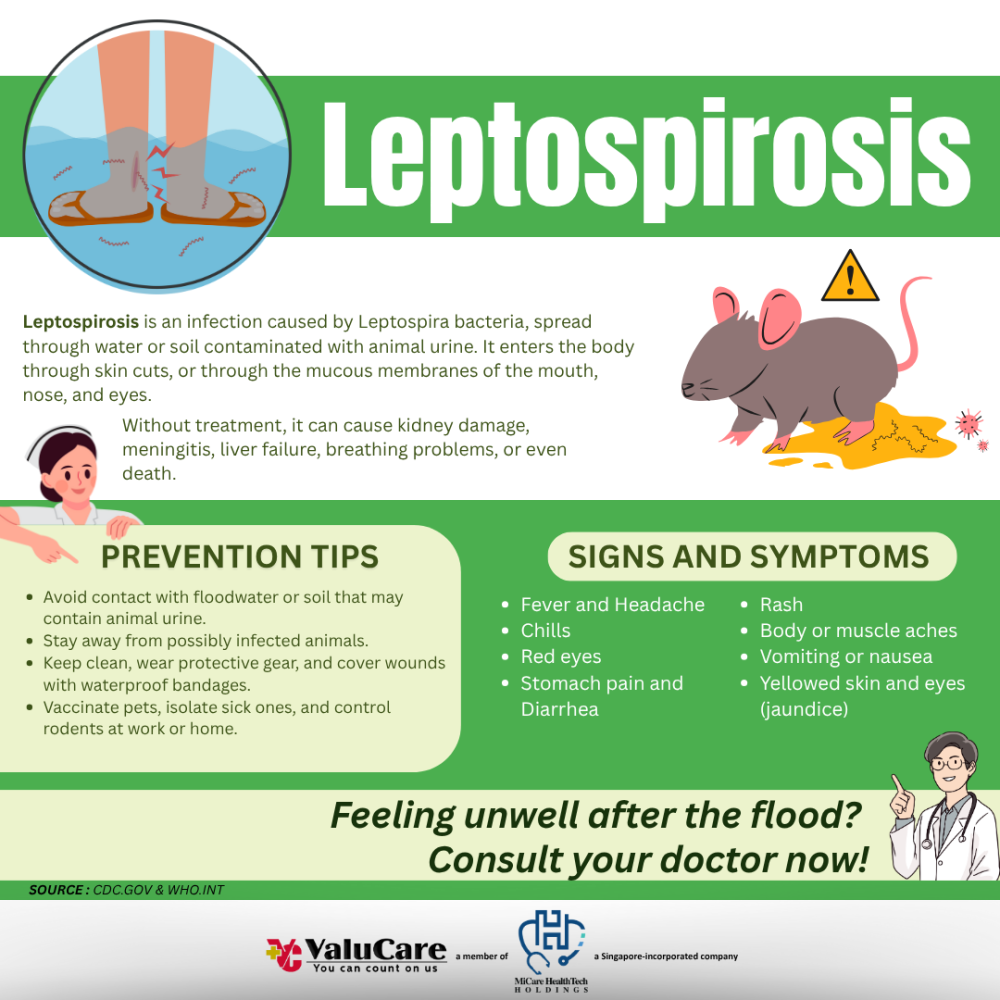ValuCare Leptospirosis Health Bulletin 2025