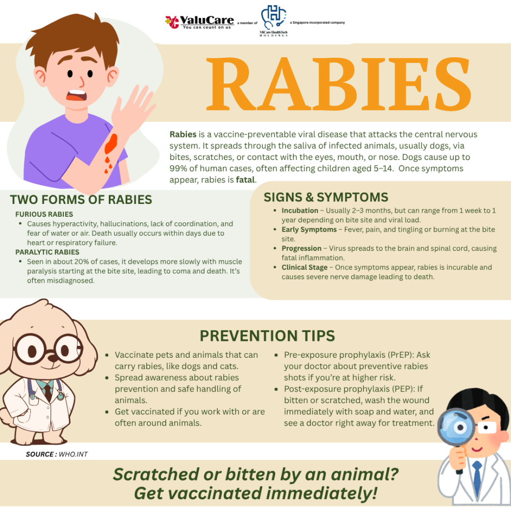 ValuCare Rabies Health Bulletin 2025